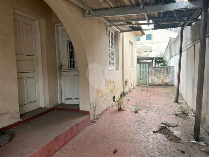 Foto REO1133607