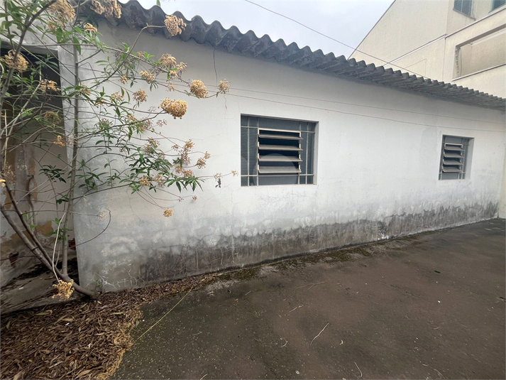 Foto REO1133607