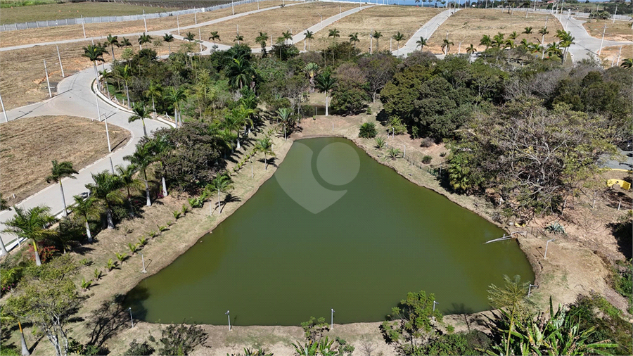 Foto REO1133609