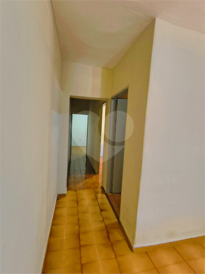 Foto REO1133610