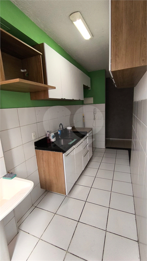 Foto REO1133620