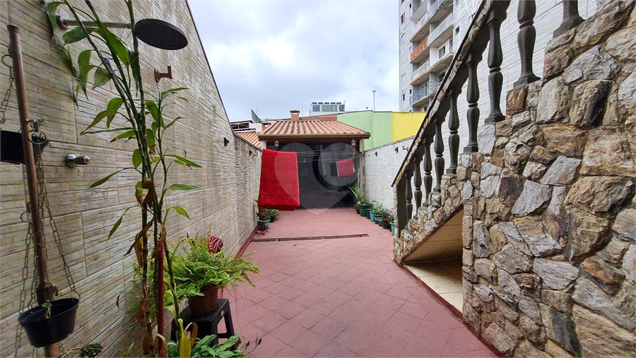 Foto REO1133626