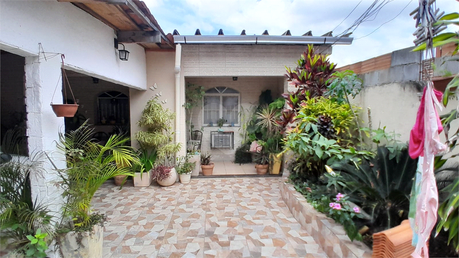 Foto REO1133627