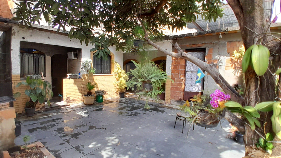 Foto REO1133627