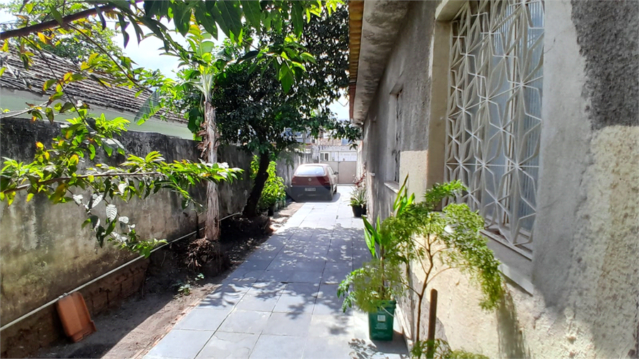 Foto REO1133627