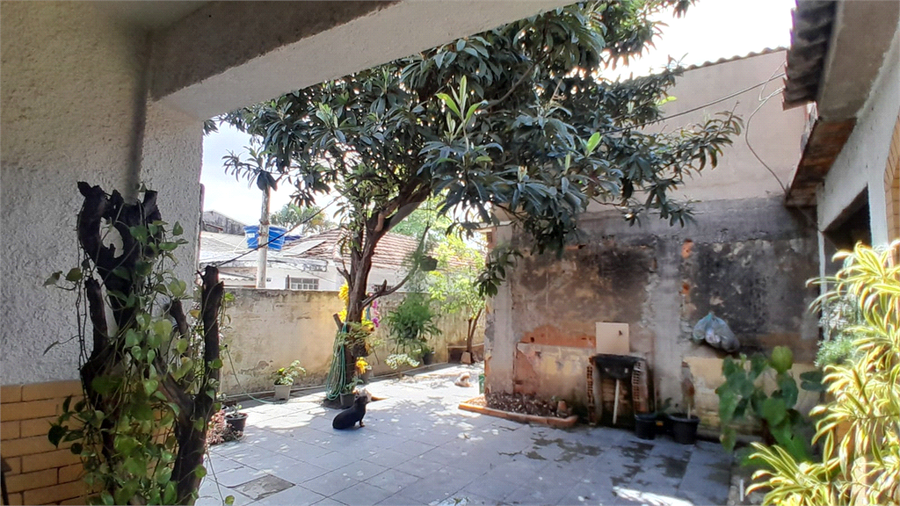 Foto REO1133627
