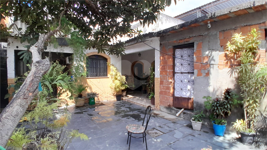 Foto REO1133627