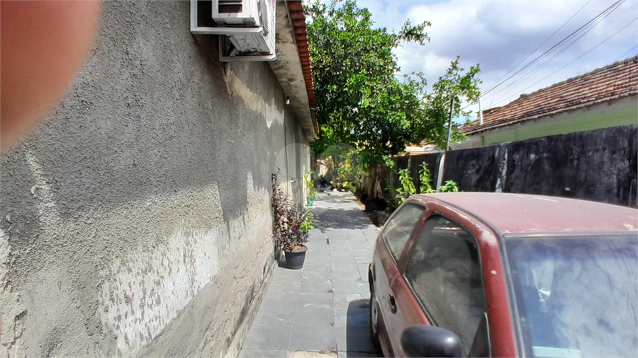 Foto REO1133627