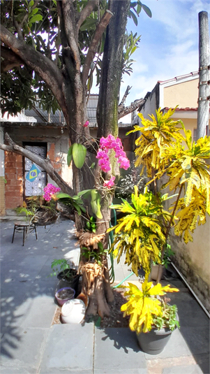 Foto REO1133627