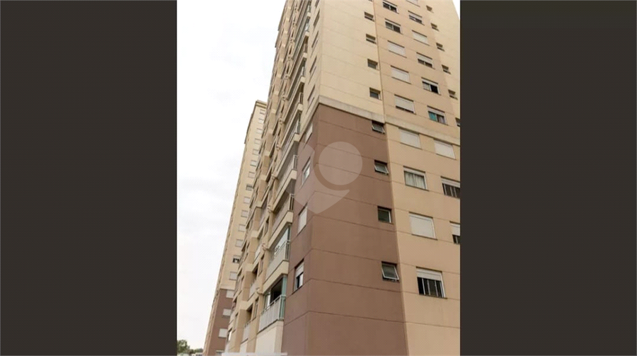 Foto REO1133628