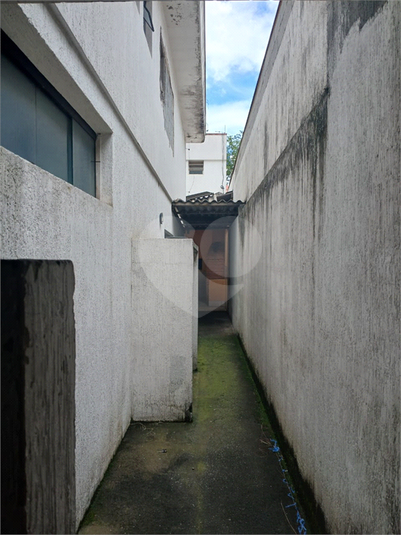 Foto REO1133633