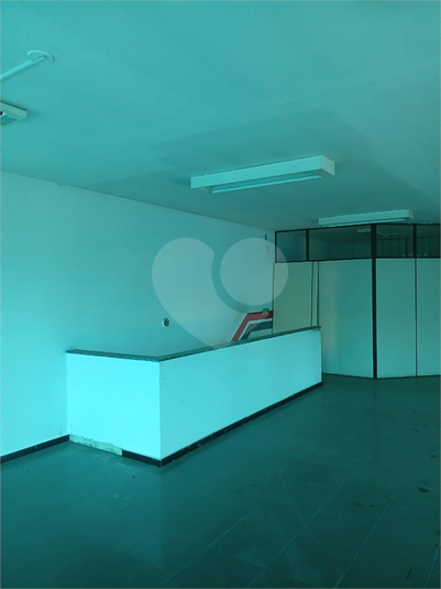 Foto REO1133633