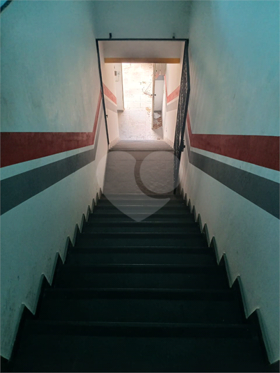 Foto REO1133633