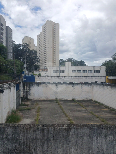Foto REO1133633