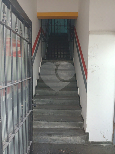 Foto REO1133633