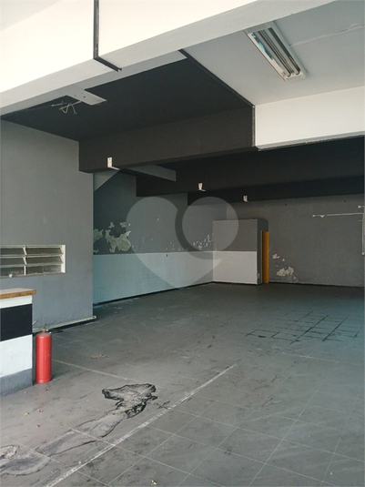 Foto REO1133633
