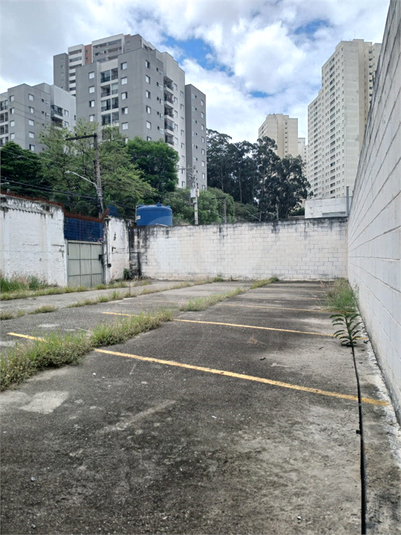 Foto REO1133633