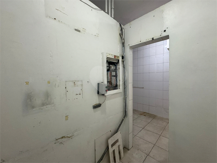 Foto REO1133649