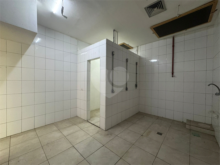 Foto REO1133649
