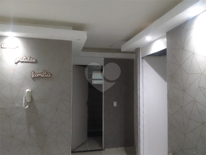 Foto REO1133661