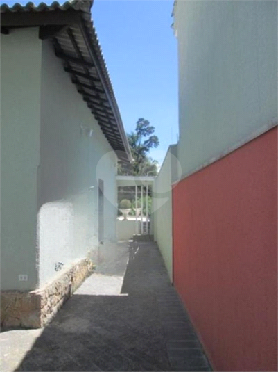 Foto REO1133667