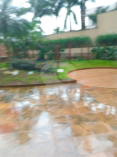 Foto REO1133683