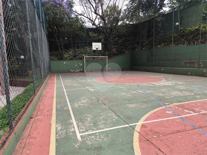 Foto REO1133688