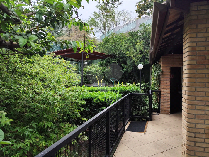 Foto REO1133688