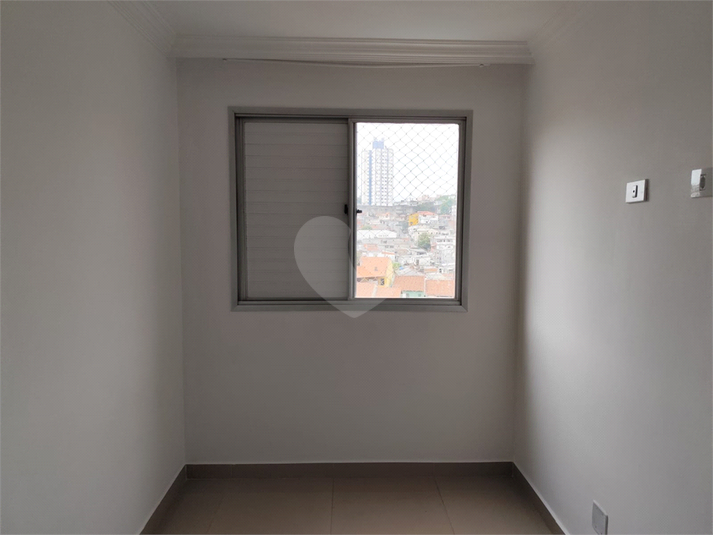 Foto REO1133688