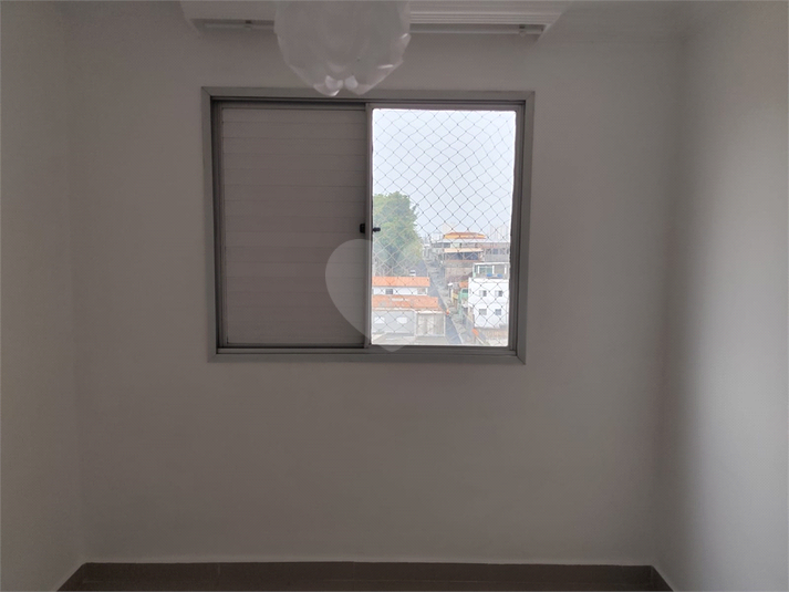 Foto REO1133688