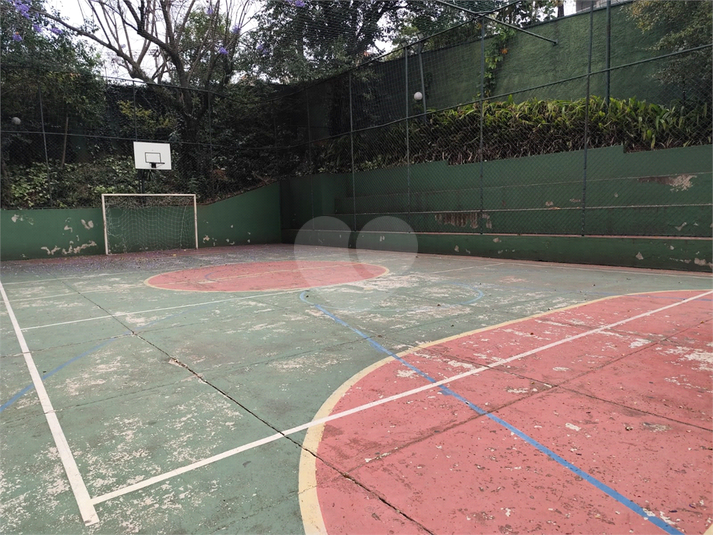 Foto REO1133688