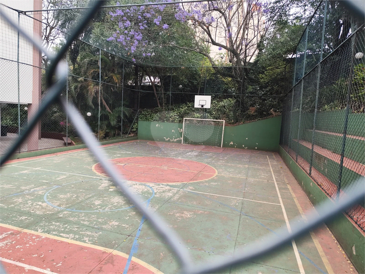 Foto REO1133688