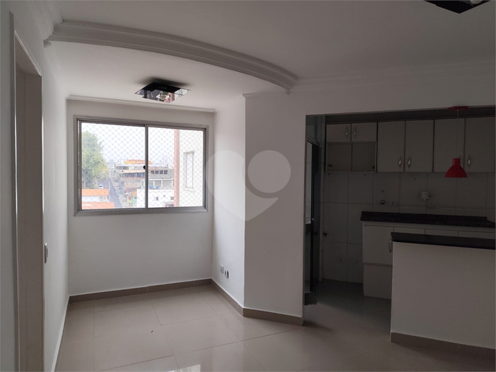 Foto REO1133688