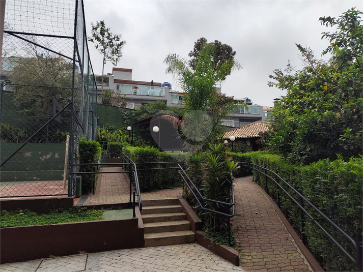 Foto REO1133688
