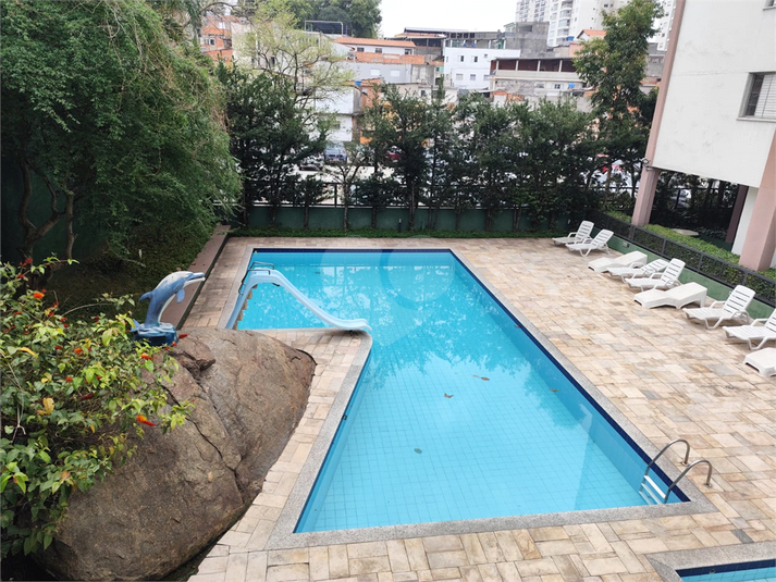 Foto REO1133688