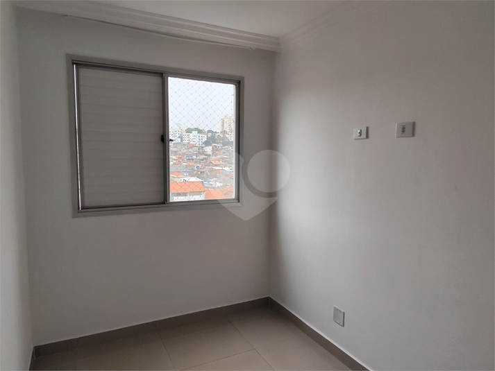 Foto REO1133688