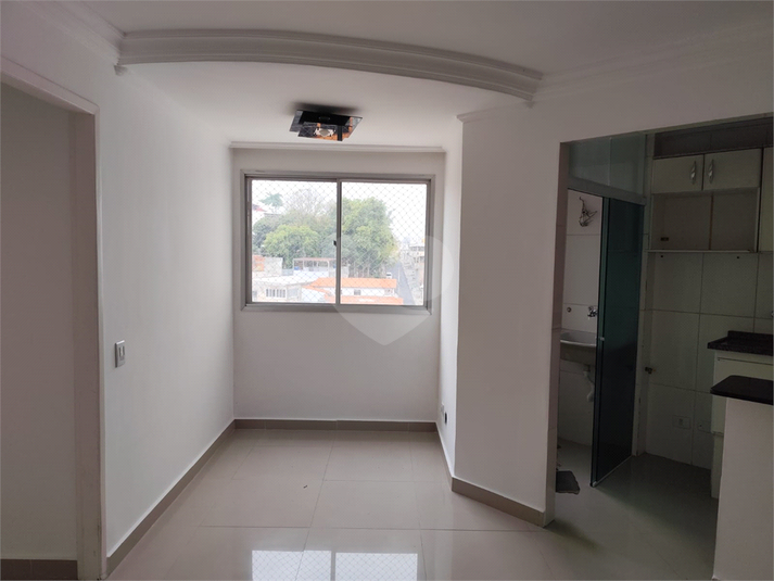 Foto REO1133688