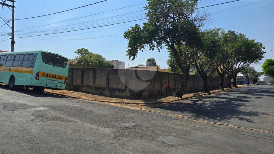 Foto REO1133697