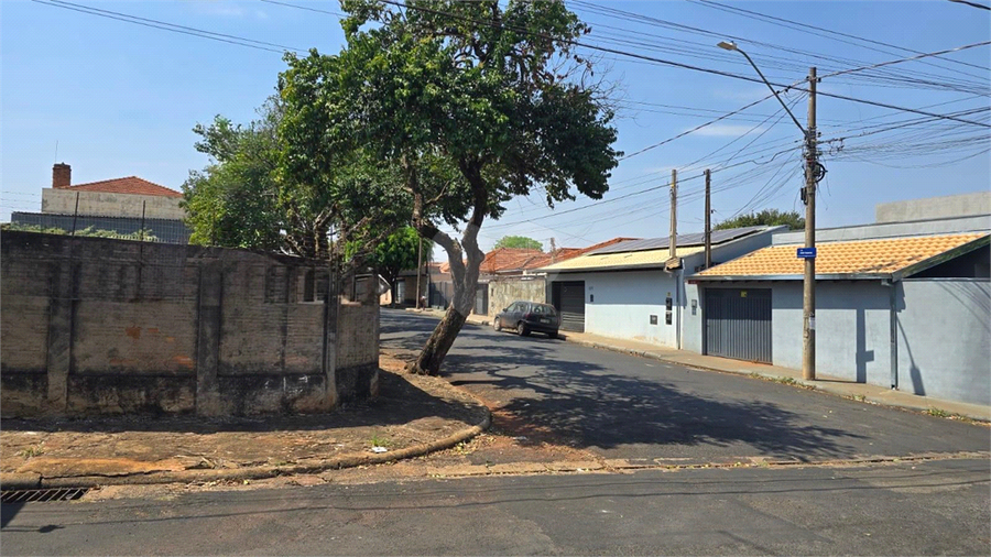Foto REO1133697