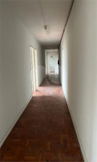 Foto REO1133705