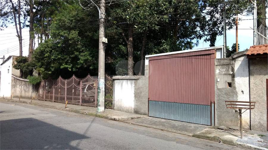 Foto REO1133715
