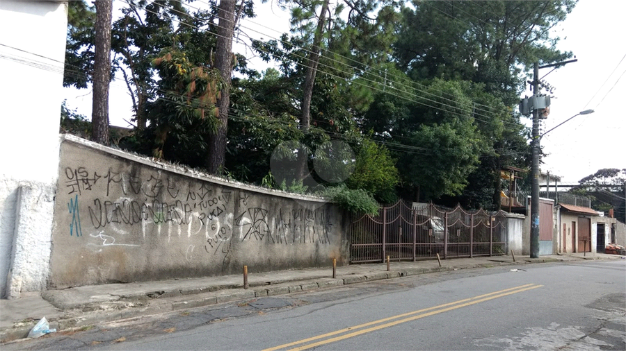 Foto REO1133715