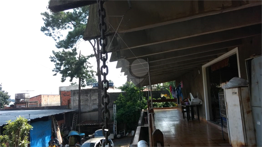 Foto REO1133715