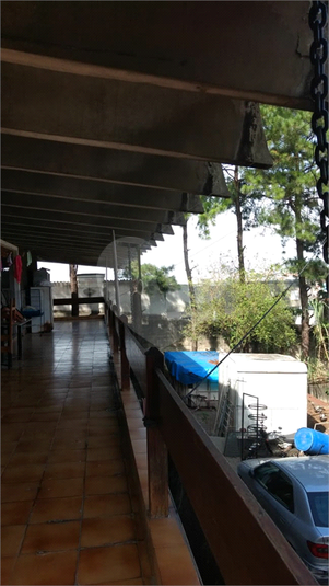 Foto REO1133715
