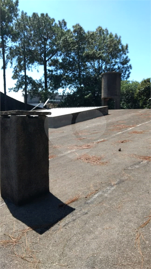 Foto REO1133715