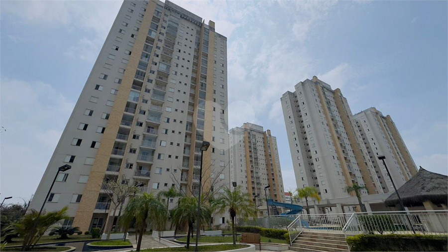 Foto REO1133716