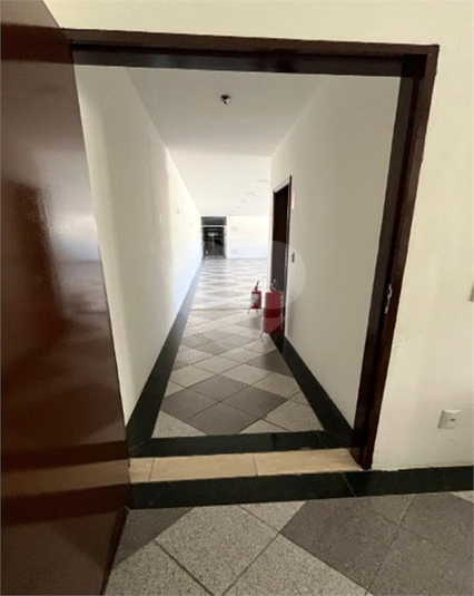 Foto REO1133718