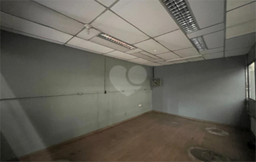 Foto REO1133722