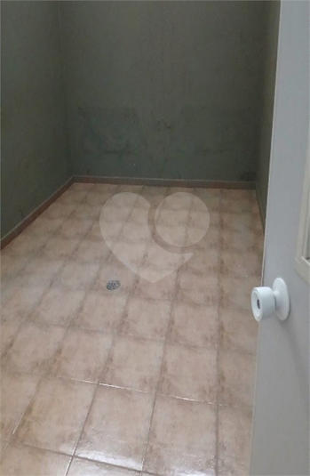 Foto REO1133722