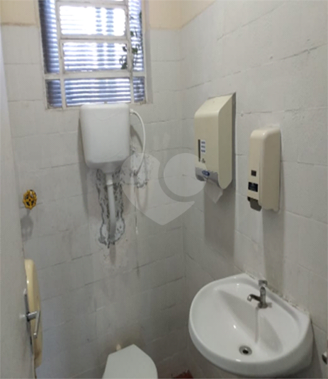Foto REO1133727
